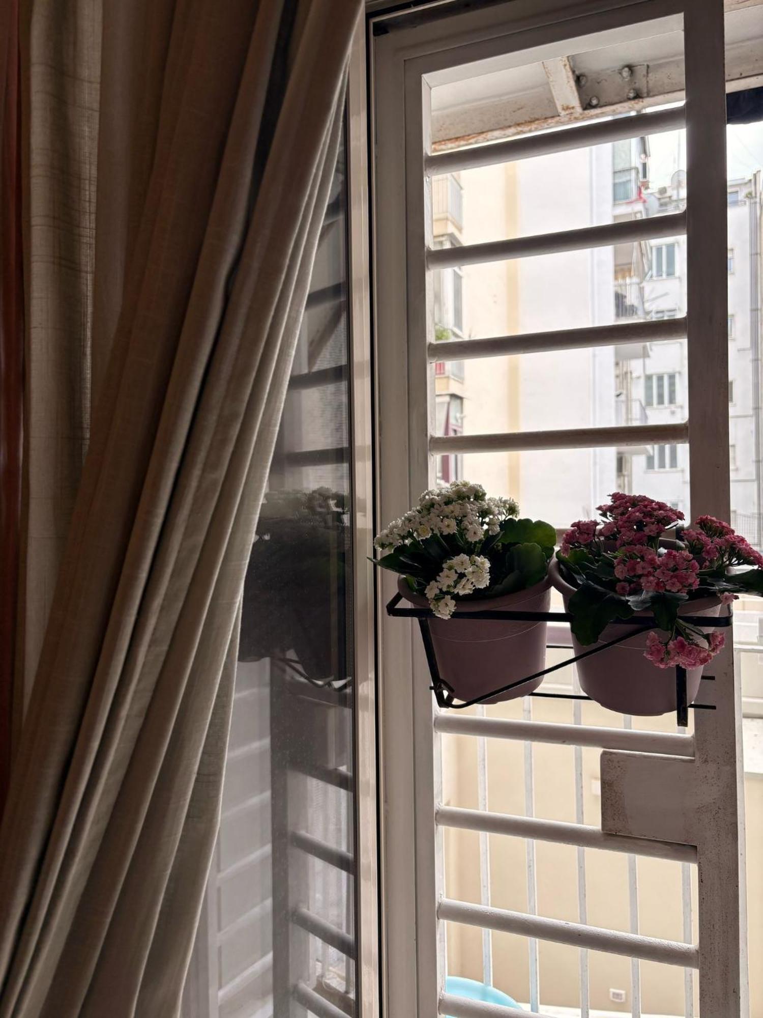 Casa Di Gianna Guest House 巴里 外观 照片